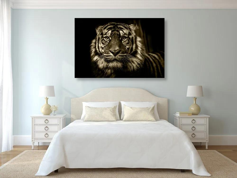 Εικόνα τίγρη σε σχέδιο σέπια