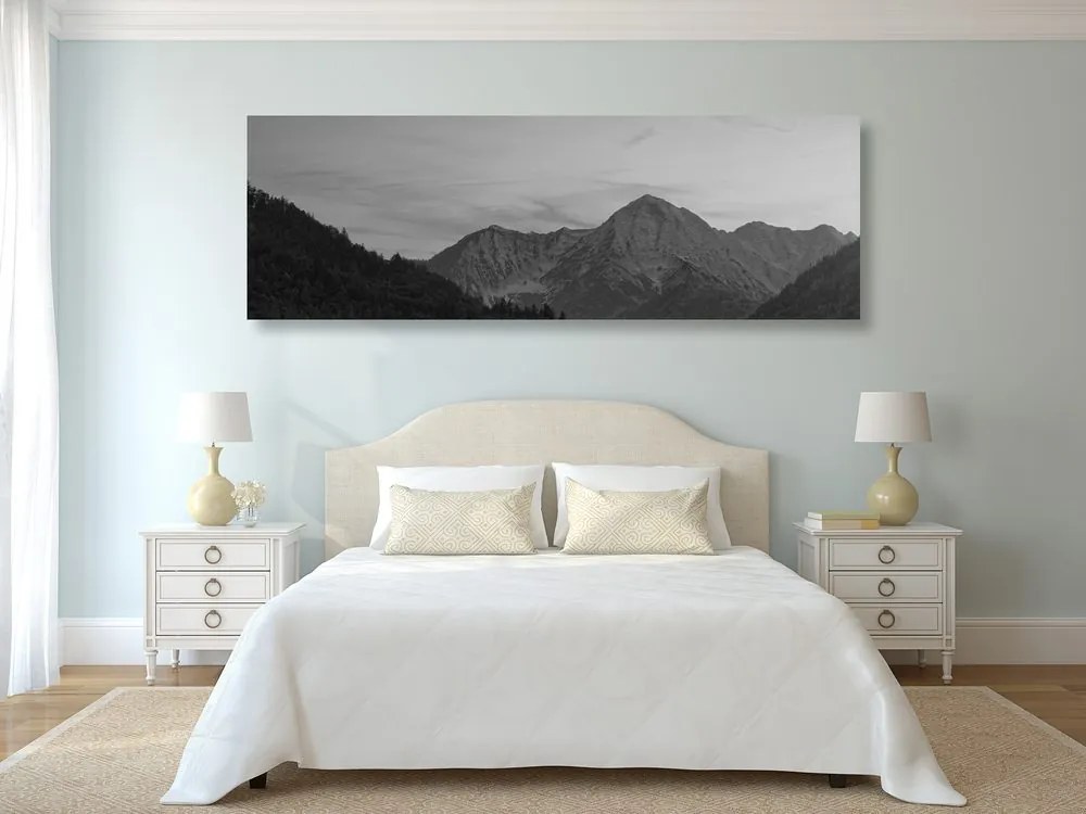 Εικόνα βουνά σε μαύρο και άσπρο - 135x45