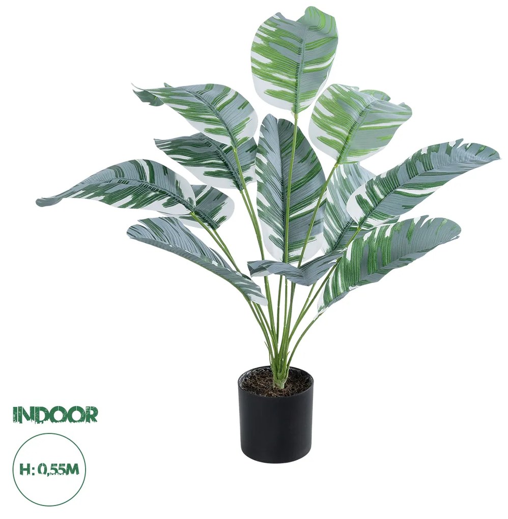 GloboStar® Artificial Garden BANANA ZEBRA 20930 Διακοσμητικό Φυτό Μπανανιά Ζέβρα Υ55cm