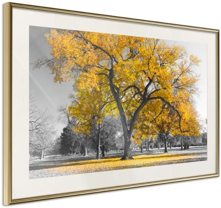 Αφίσα - Golden Tree - 90x60 - Χρυσό - Με πασπαρτού