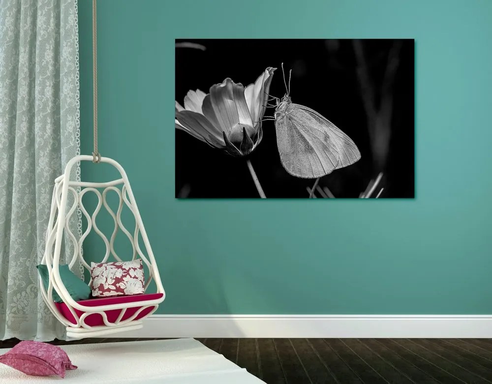 Εικόνα μιας πεταλούδας σε ένα λουλούδι σε μαύρο & άσπρο