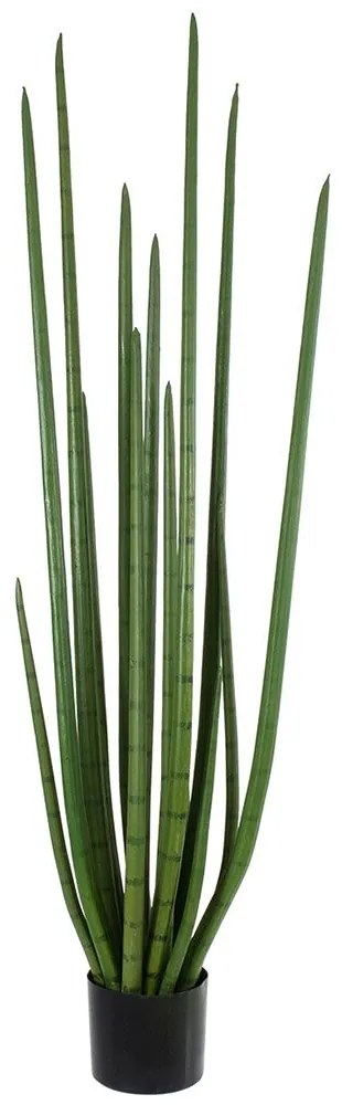 Τεχνητό Φυτό Σε Γλάστρα Sansevieria Cylindrica 20211 160cm Light Green Globostar Πολυαιθυλένιο