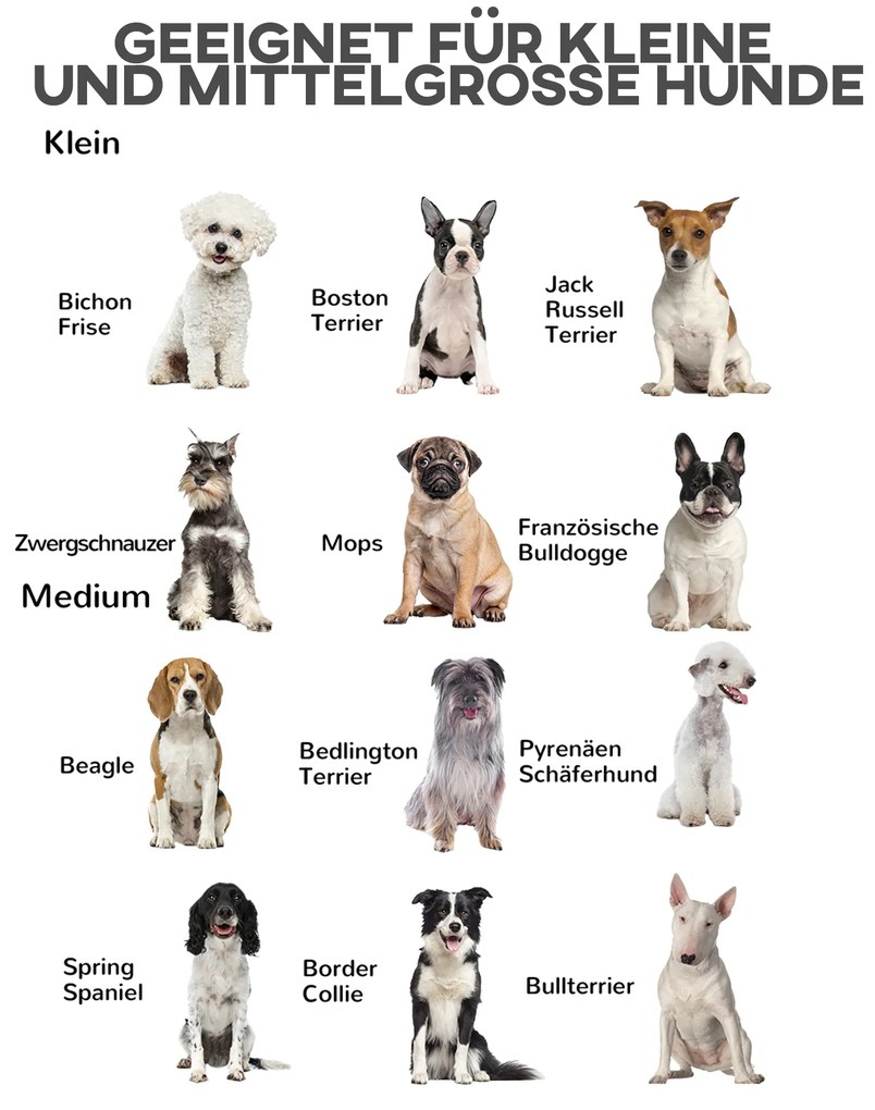 Περίφραγμα ασφαλείας για κατοικίδια, για σκύλους, ξύλο πεύκου, αναδιπλούμενο, 432 x 36 x 70 cm, Φυσικό