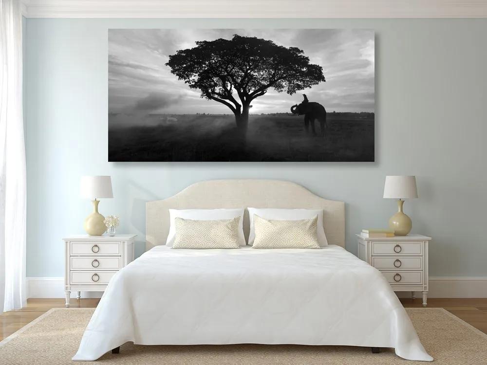 Εικόνα ενός ελέφαντα στην ανατολή του ηλίου σε μαύρο & άσπρο - 120x60