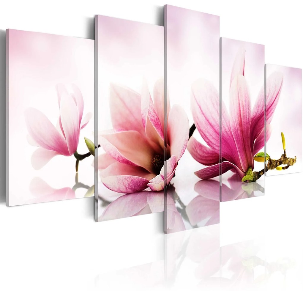 Πίνακας - Magnolias: pink flowers 100x50