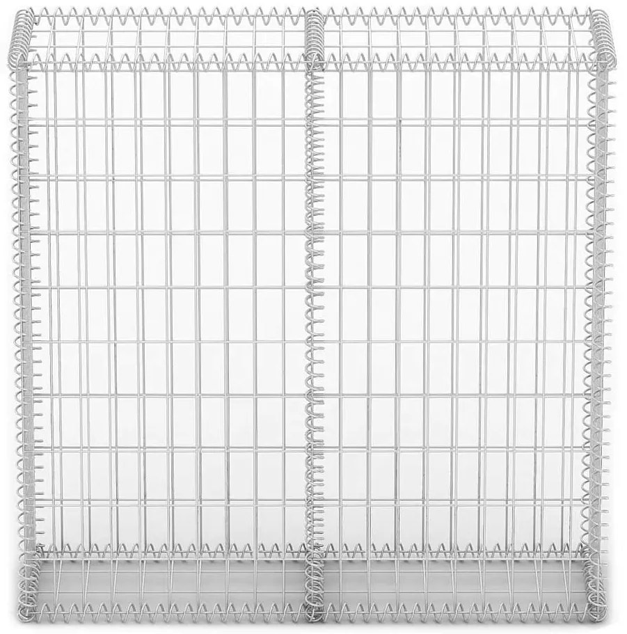 vidaXL Συρματοκιβώτιο 100 x 100 x 30 εκ. Γαλβανισμένο Σύρμα με Καπάκια