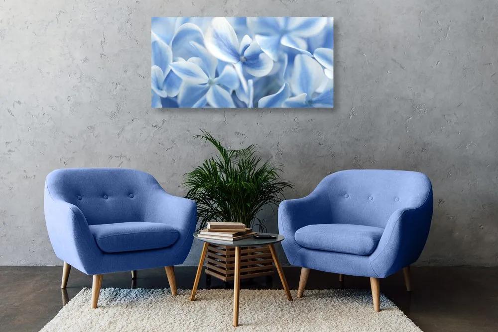Εικόνα μπλε και λευκών λουλουδιών ορτανσίας - 120x60
