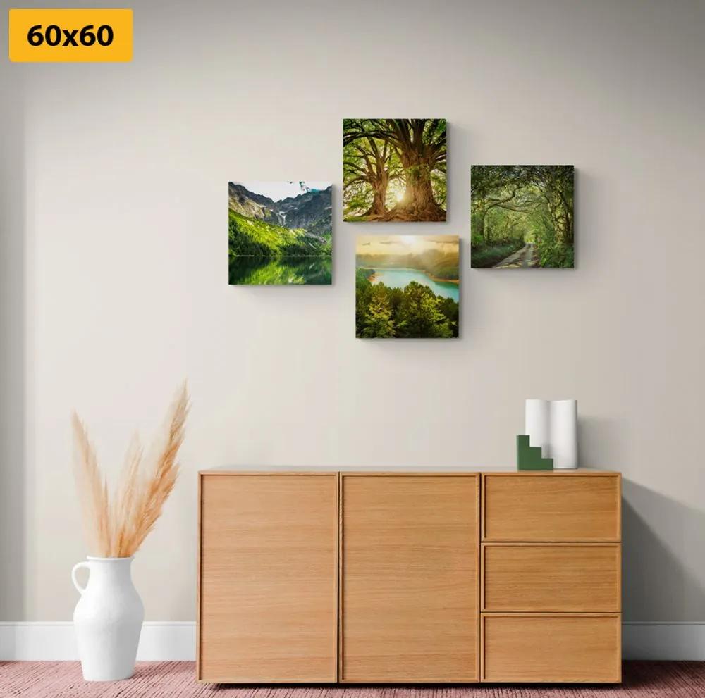 Σετ εικόνων με όμορφη πράσινη φύση - 4x 60x60