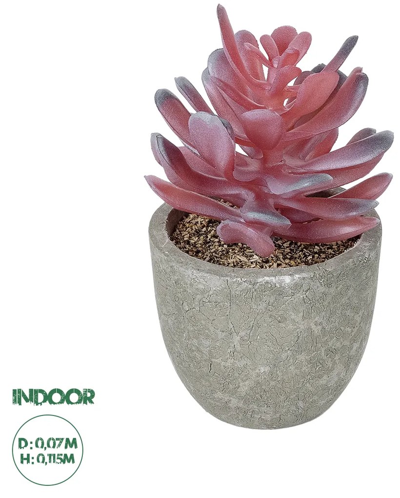 GloboStar® Artificial Garden SUCCULENT CRASSULA POTTED PLANT 21015 Διακοσμητικό Φυτό Κρασούλα  Φ7 x Υ11,5cm