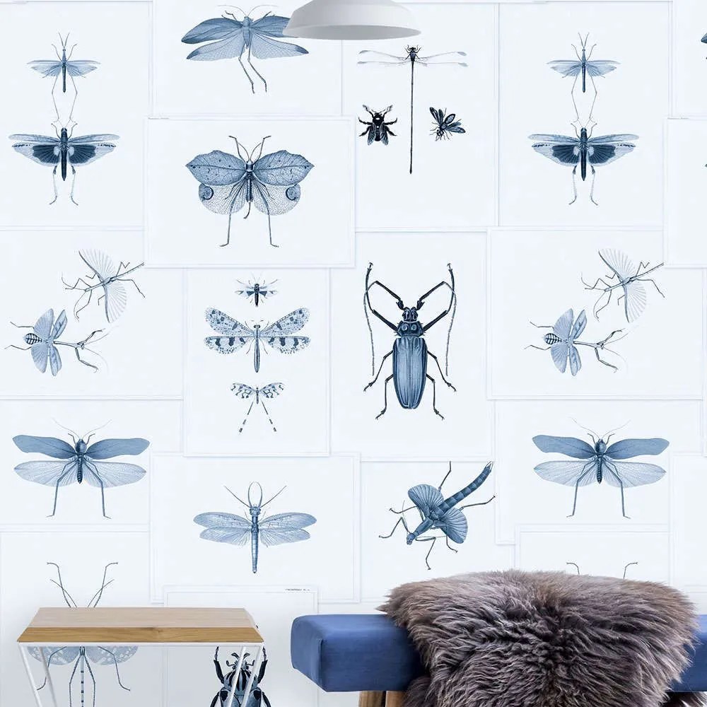 Ταπετσαρία Entomology Blue WP20235 Blue-Taupe MindTheGap 52x300cm