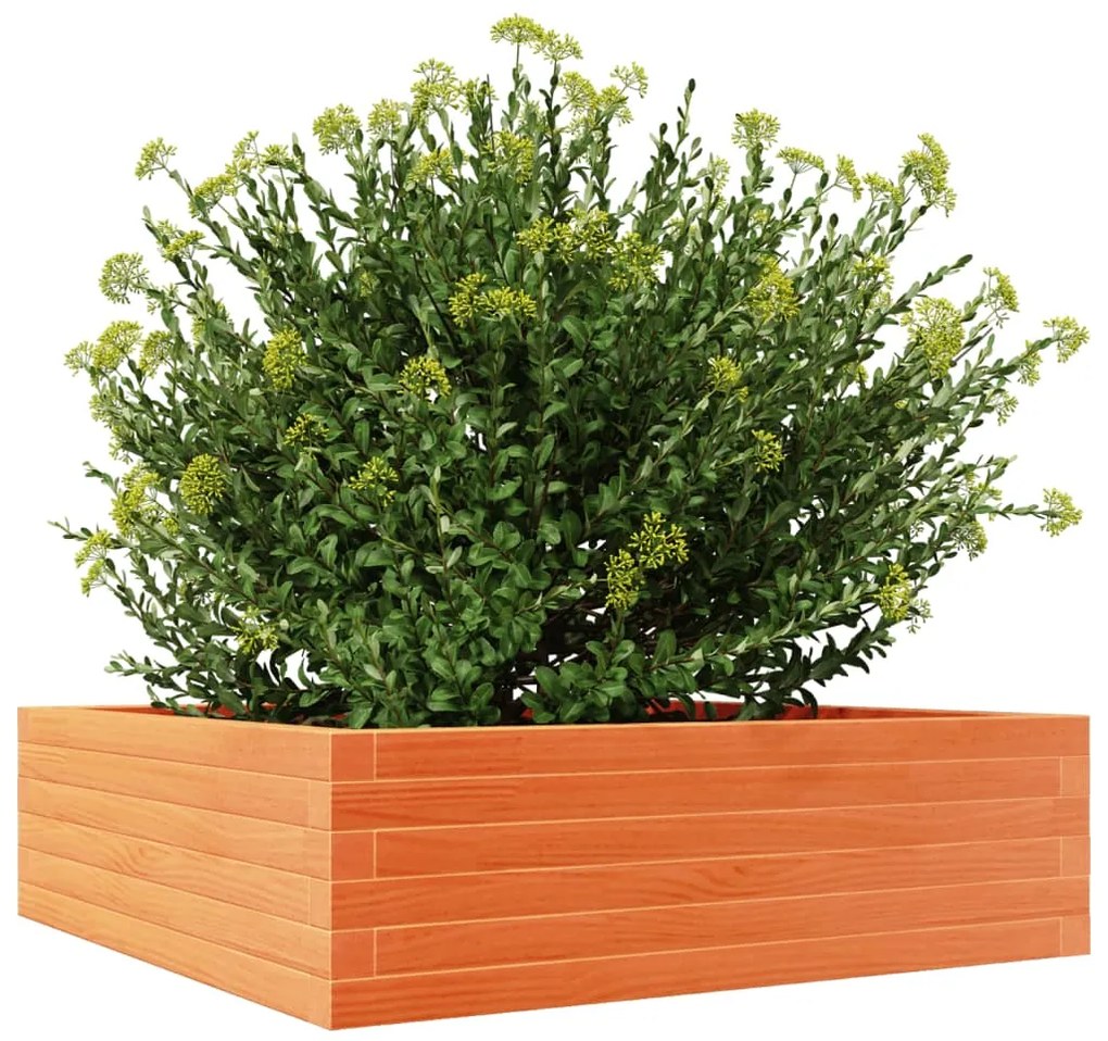 vidaXL Ζαρντινιέρα Καφέ Κεριού 80x80x23 εκ. από Μασίφ Ξύλο Πεύκου