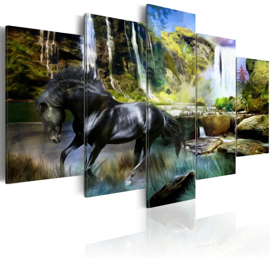 Πίνακας - Black horse on the background of paradise waterfall 200x100