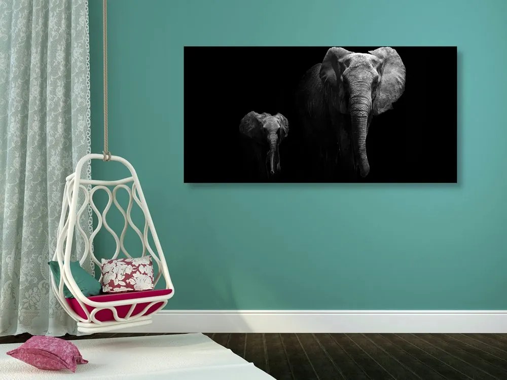 Εικόνα ενός μικρού ελέφαντα και ενός ελέφαντα
