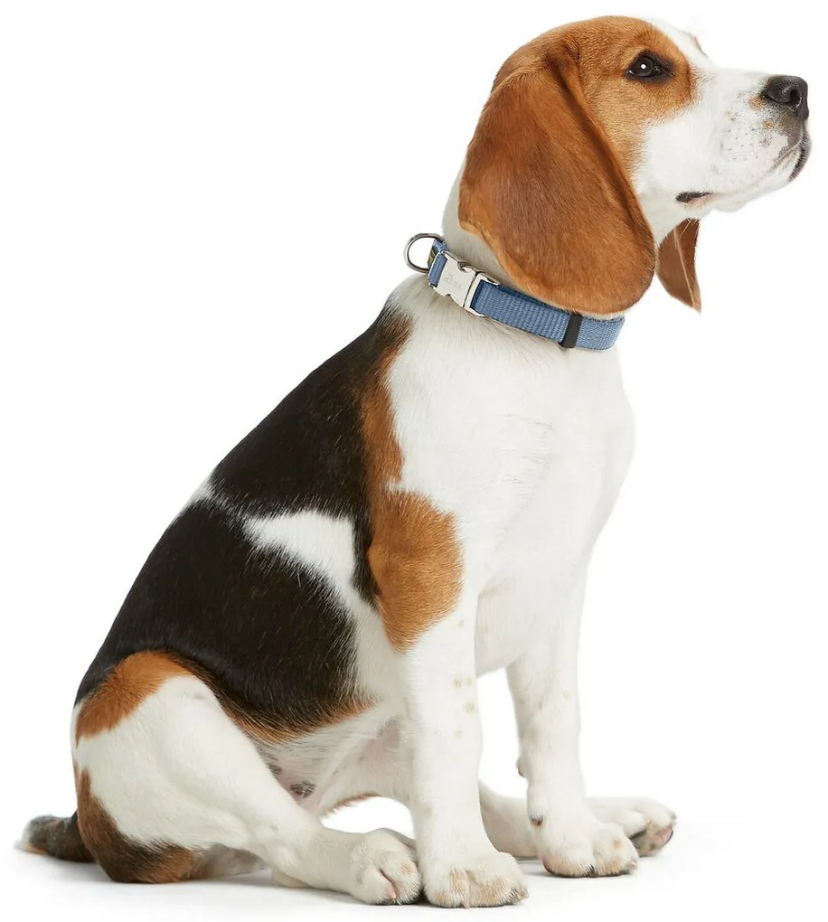 Κολλάρο Σκύλου Hunter VARIO BASIC Μπλε M 30-45 cm