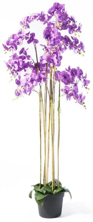 Supergreens Τεχνητό Φυτό Ορχιδέα Phalaenopsis Μωβ 180 εκ.