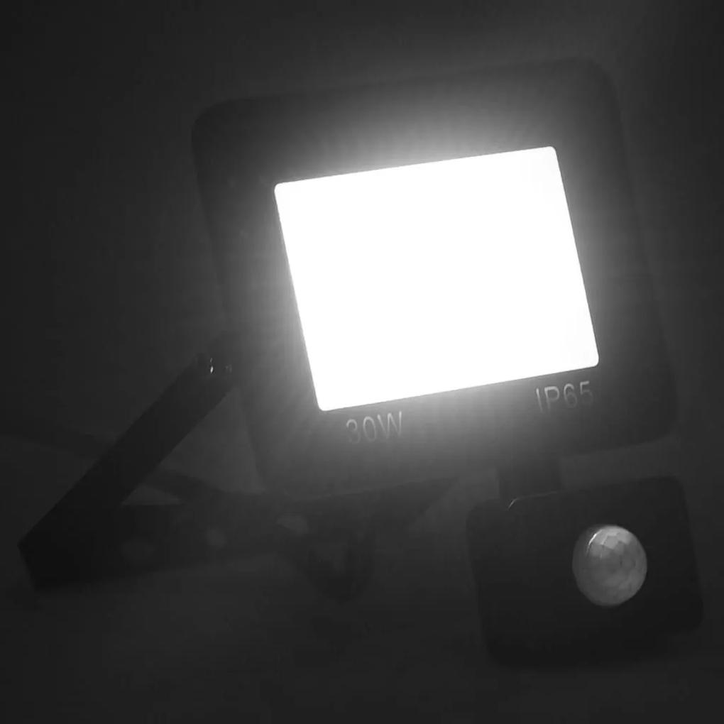 Προβολέας LED με Αισθητήρα Ψυχρό Λευκό 30 W - Μαύρο
