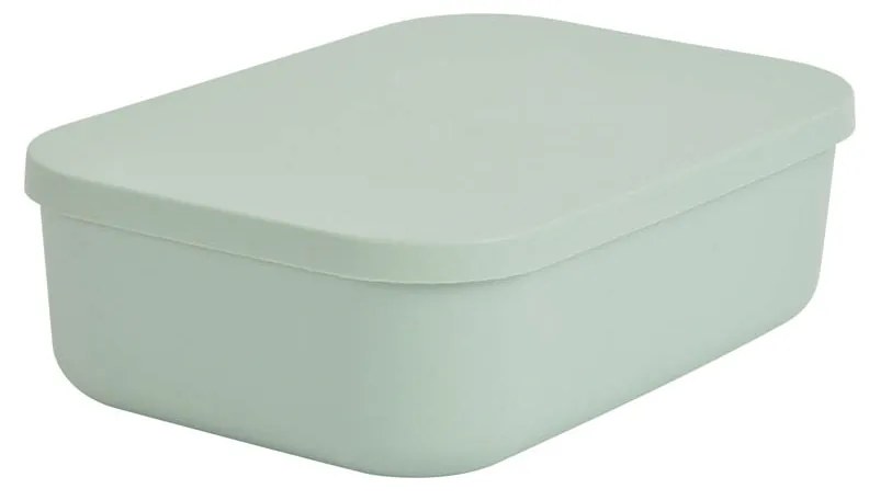 Κουτί Αποθήκευσης (25x17.5x7.6) L-C Sauge 6RAN838VC