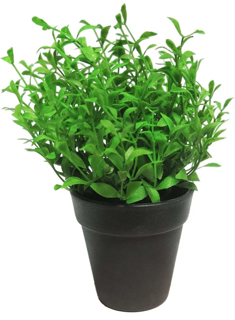 Supergreens Τεχνητό Φυτό Αρωματικό 19 εκ. - 9650-6 - 9650-6