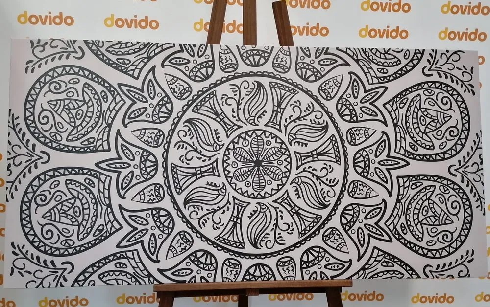 Εικόνα Mandala με αφηρημένο φυσικό μοτίβο σε μαύρο & άσπρο - 100x50