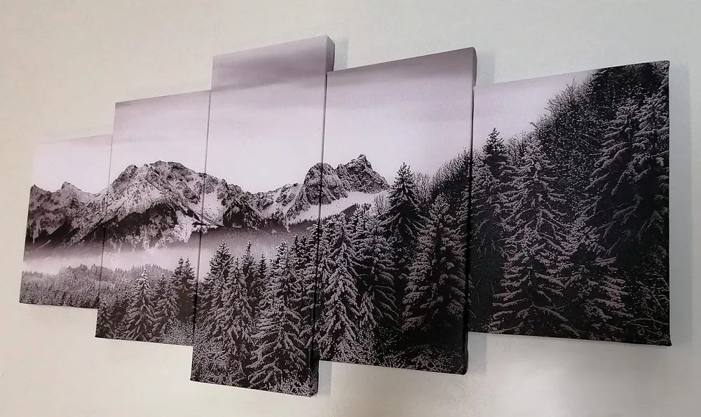 Εικόνα 5 τμημάτων παγωμένα βουνά σε μαύρο & άσπρο - 200x100