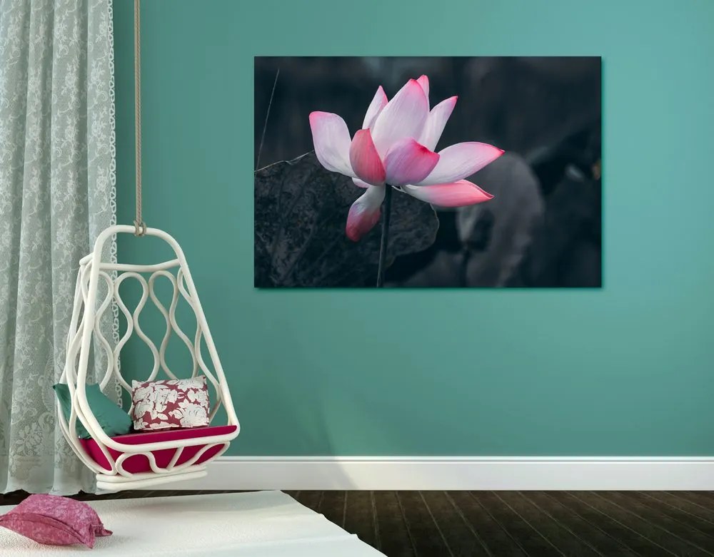 Εικόνα λεπτό λουλούδι λωτού - 60x40