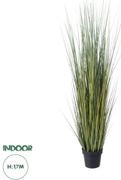 Τεχνητό Διακοσμητικό Φυτό Γρασίδι Πάμπας Artificial Garden PAMPAS GRASS 20072 Globostar-20072-Πράσινο 20072