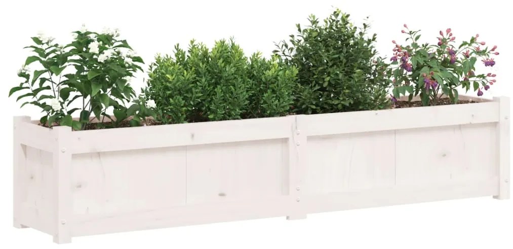 vidaXL Ζαρντινιέρα Λευκή 150 x 31 x 31 εκ. από Μασίφ Ξύλο Πεύκου