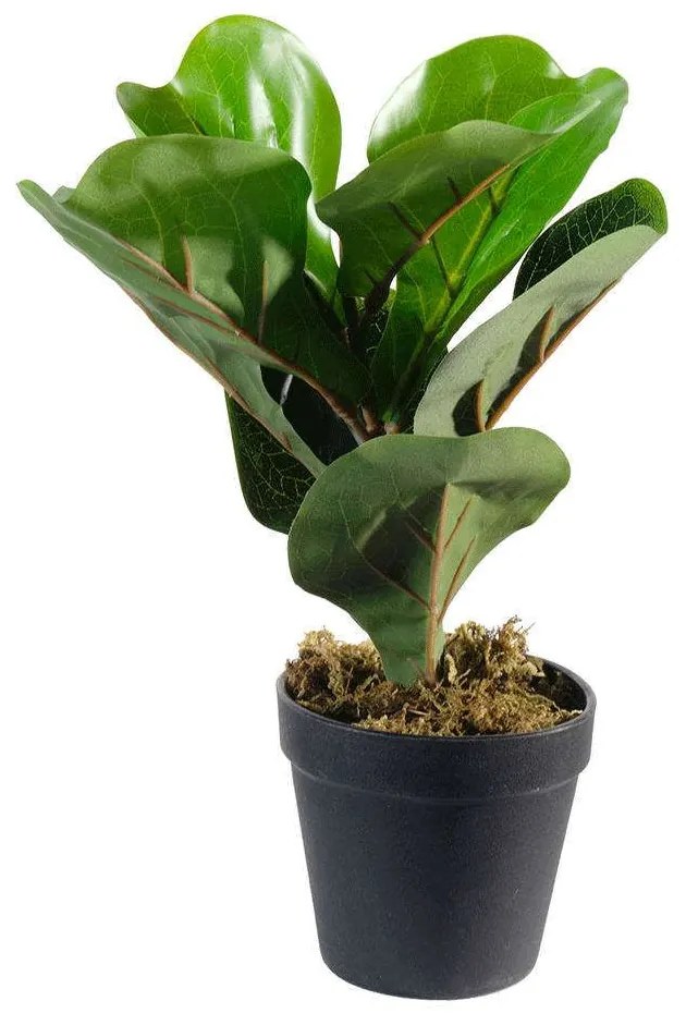 Τεχνητό Φυτό Φίκος Λυράτα 3670-6 15x25cm Green Supergreens Polyethylene