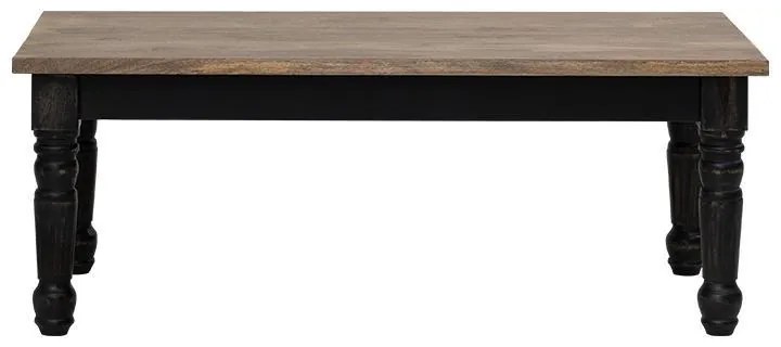 Τραπεζάκι Σαλονιού Kanpur Fylliana Γκρί 120x60x45 εκ. 120x60x45 εκ.