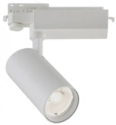 Σποτ Φωτιστικό Ράγας LED IP20 30W 3000K 24 Μοίρες Hercules Viokef 3913-012W-3-S-24 Λευκό