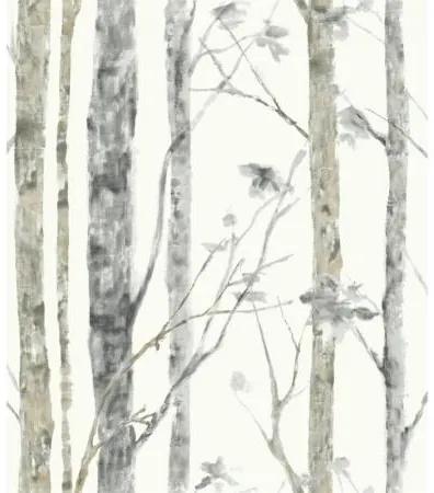 Αυτοκόλλητη Ταπετσαρία Birch Trees Peel KAL.RMK9047