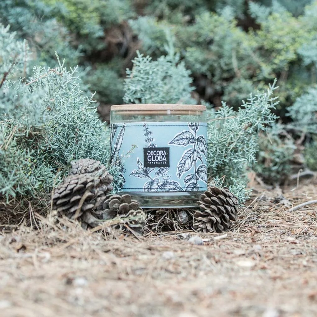 Scented Candles DECORAGLOBA Sueños en la Pinada, 200gr DG- VF 200 Sueños en la Pinada-00N3