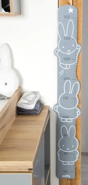 Χάρακας ανάπτυξης Miffy