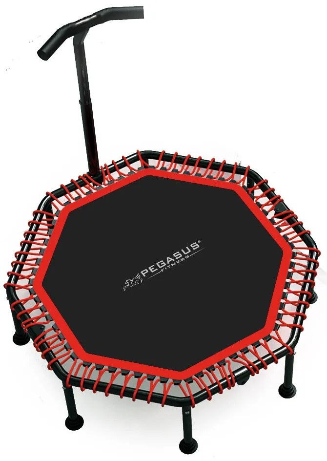 Τραμπολίνο Οκτάγωνο Φ122cm Με Λαβή Pegasus Β 4503A