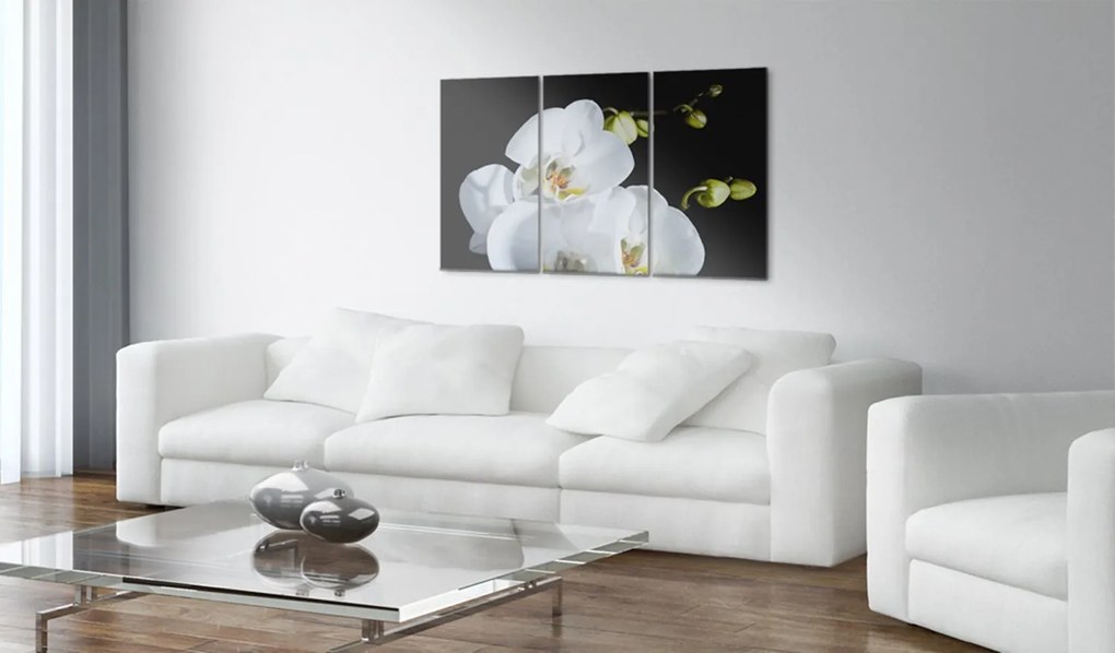 Πίνακας - Snowy orchid 60x40