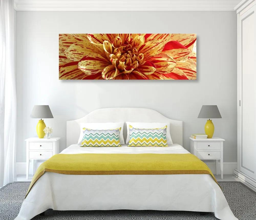 Εικόνα λουλουδιού ντάλιας σε εξωτικό σχέδιο - 150x50