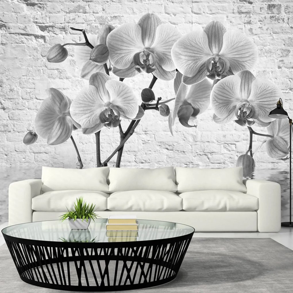 Φωτοταπετσαρία - Orchid in Shades of Gray 400x280