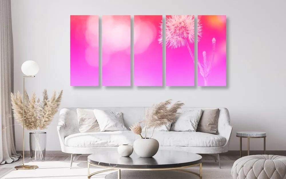 Εικόνα 5 τμημάτων Πικραλίδα σε ροζ φόντο - 100x50