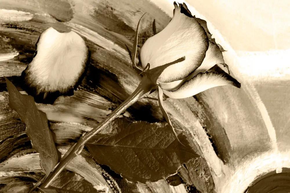 Εικόνα τριαντάφυλλο σε σέπια