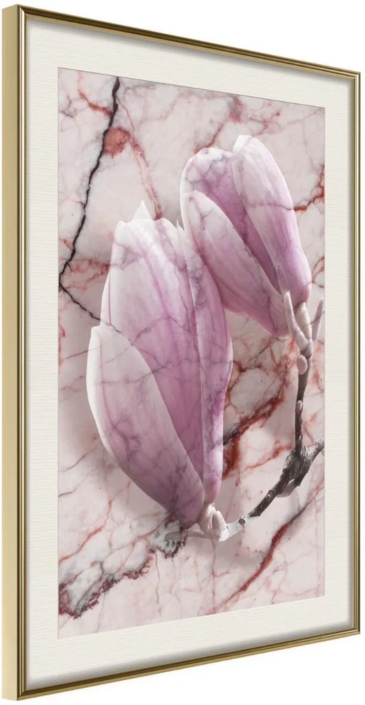 Αφίσα - Magnolia on Marble Background - 30x45 - Χρυσό - Με πασπαρτού