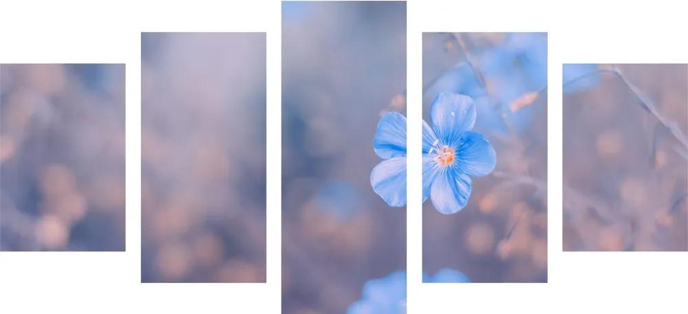 Εικόνα 5 μερών μπλε λουλούδια σε vintage φόντο - 100x50