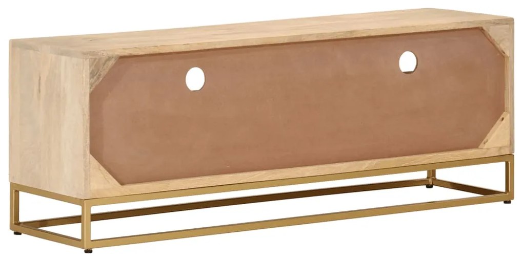 vidaXL Έπιπλο Τηλεόρασης 110 x 30 x 40 εκ. Μασίφ Ξύλο Μάνγκο & Σίδηρος