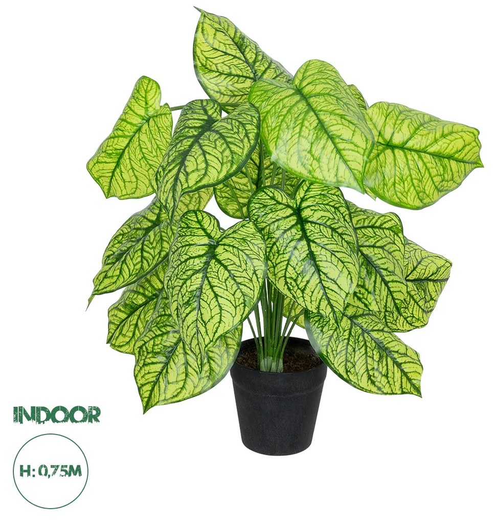 GloboStar® Artificial Garden CALADIUM 20913 Διακοσμητικό Φυτό Καλάντιουμ Υ75cm