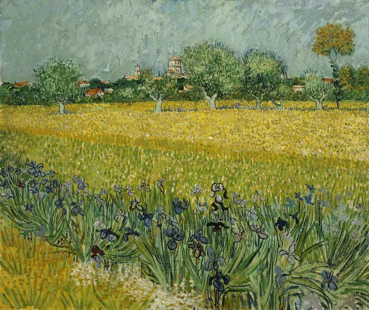 Αναπαραγωγή Field with Flowers near Arles, 1888, Vincent van Gogh