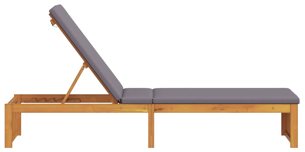 vidaXL Ξαπλώστρα με μαξιλάρι 200x55x30 cm Μασίφ ξύλο ακακίας
