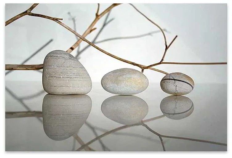 Πίνακας σε καμβά Stones and Branches" Megapap ψηφιακής εκτύπωσης 90x60x3εκ."