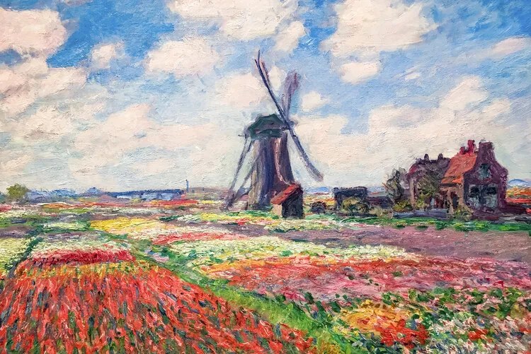 Αναπαραγωγή Tulip Fields with the Rijnsburg Windmill, 1886, Claude Monet