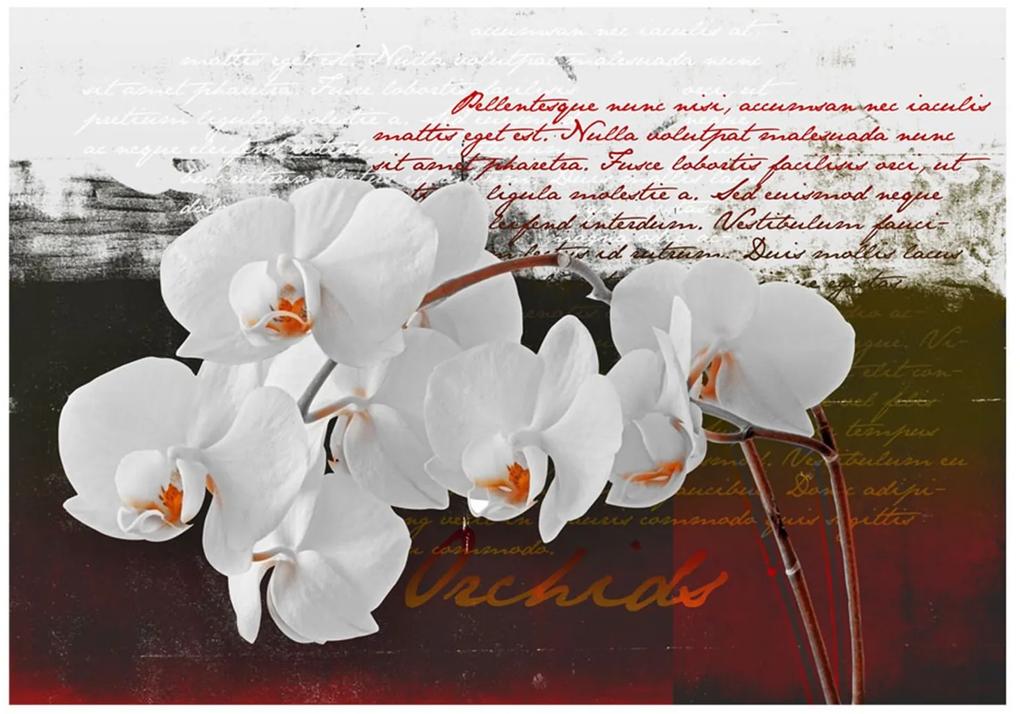 Φωτοταπετσαρία - Diary and orchid 300x210