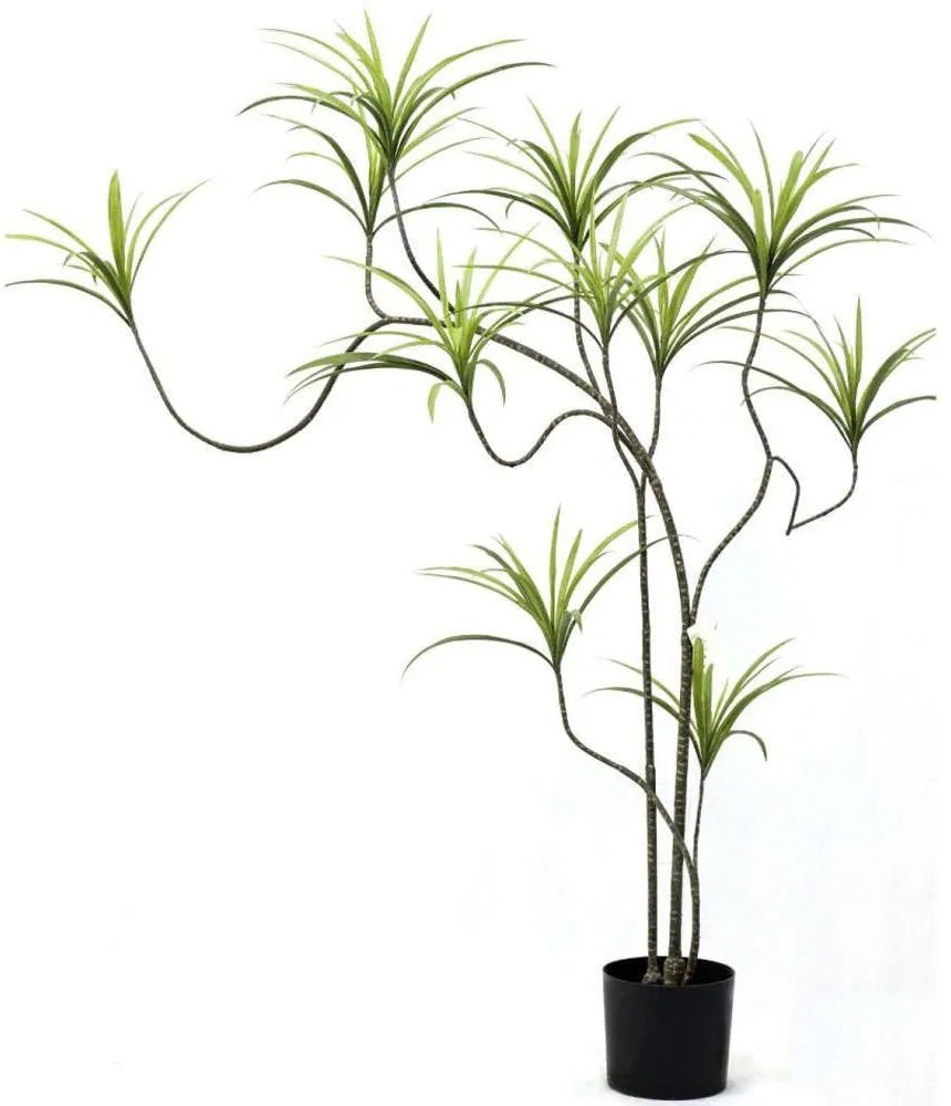 Τεχνητό Δέντρο Δράκαινα Sanderiana 8770-6 150cm Green Supergreens Polyethylene,Fabric