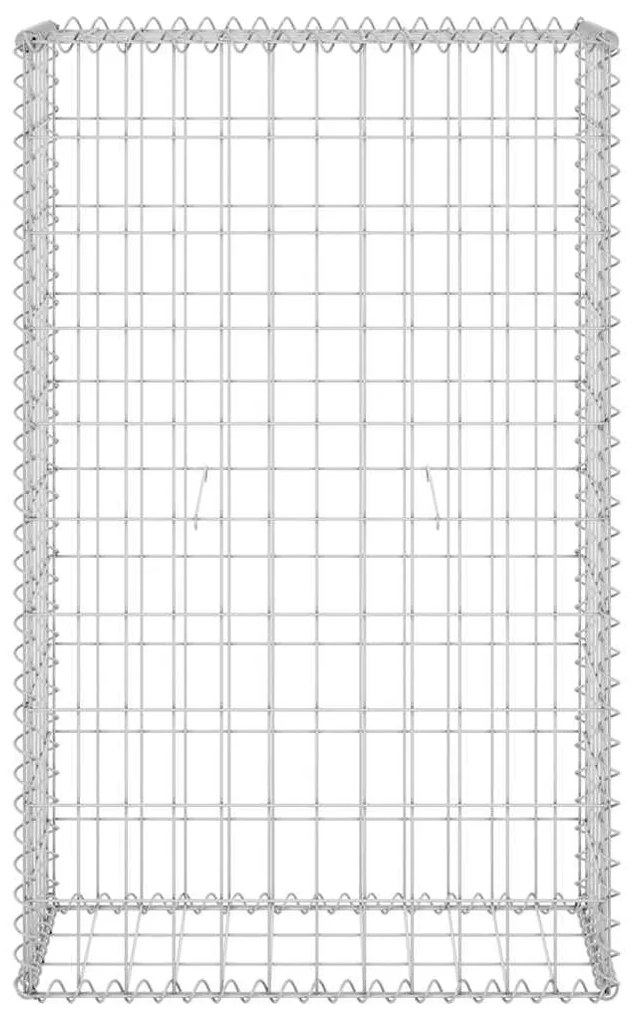 vidaXL Συρματοκιβώτιο Τοίχος 60x30x100 εκ. Γαλβαν. Χάλυβας + Καλύμματα